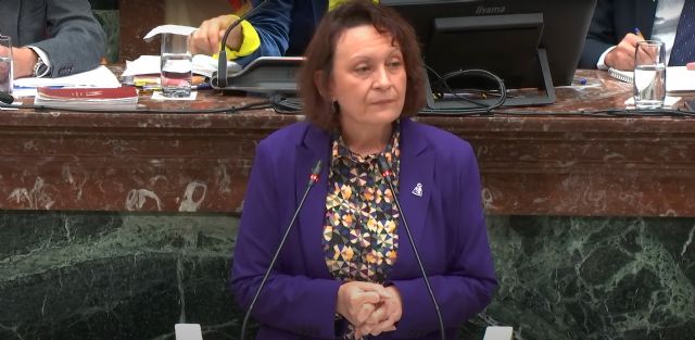 María Marín subraya en el Pleno las 'conquistas de la izquierda' en materia de Igualdad